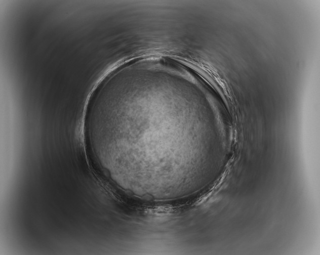 X0000096190196200801181328