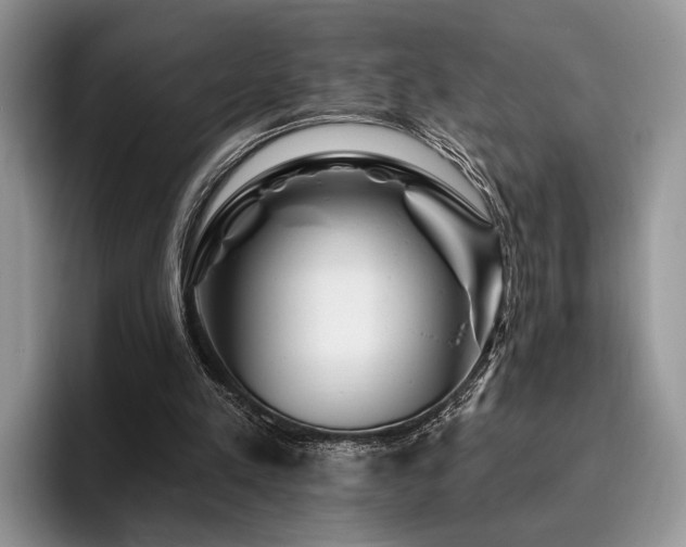 X0000096190197200801181328