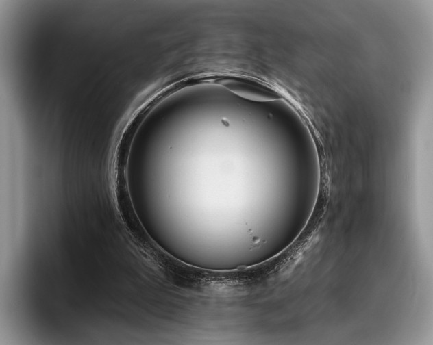 X0000096190199200801181328
