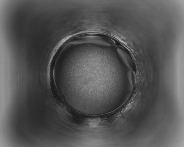X0000096190200200801181328