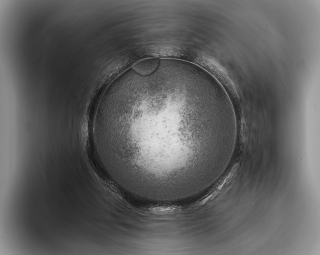 X0000096190202200801181327