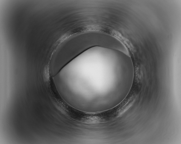 X0000096190203200801181327