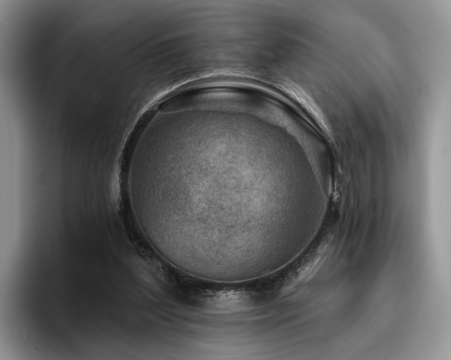 X0000096190204200801181327