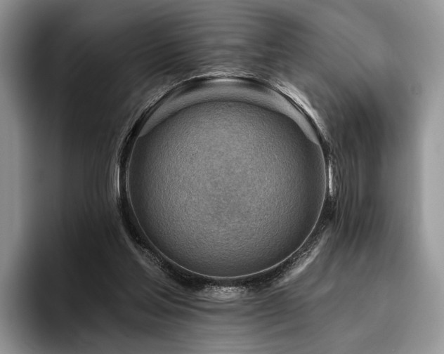 X0000096190205200801181327