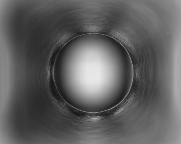X0000096190206200801181327