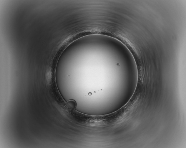 X0000096190208200801181327