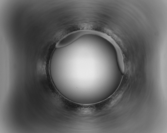 X0000096190209200801181327