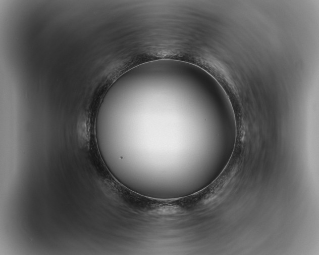 X0000096190210200801181327