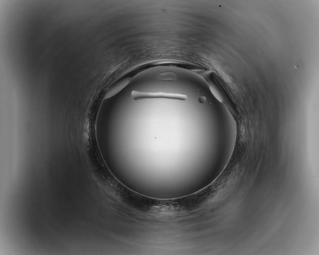 X0000096190211200801181327