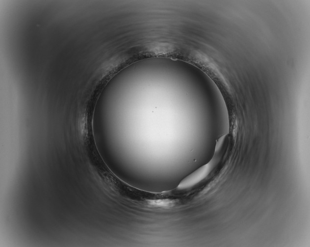 X0000096190212200801181327