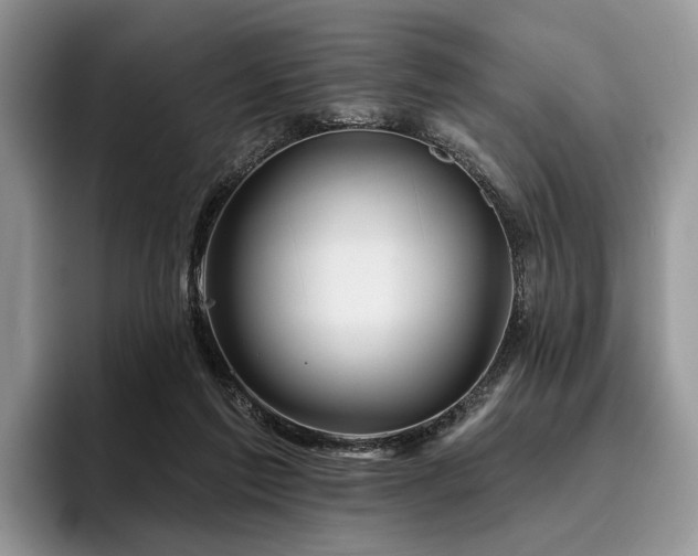 X0000096190213200801181327