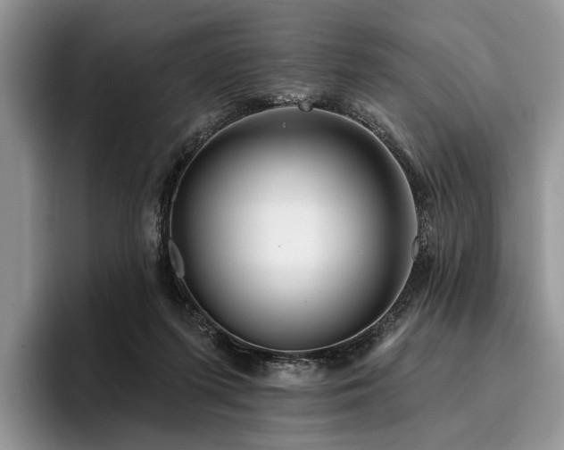 X0000096190215200801181327