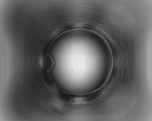 X0000096190216200801181327