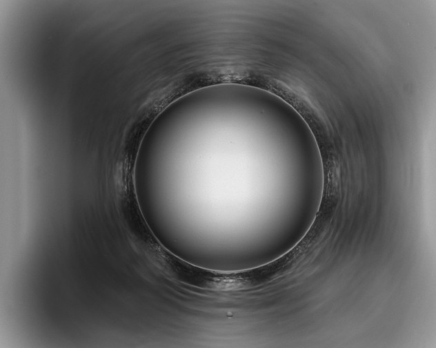 X0000096190218200801181327
