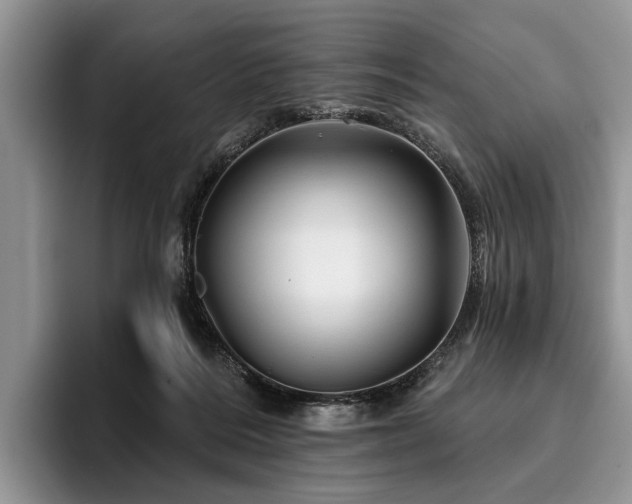 X0000096190220200801181327