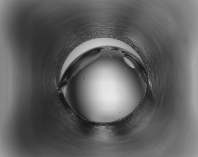 X0000096190221200801181327