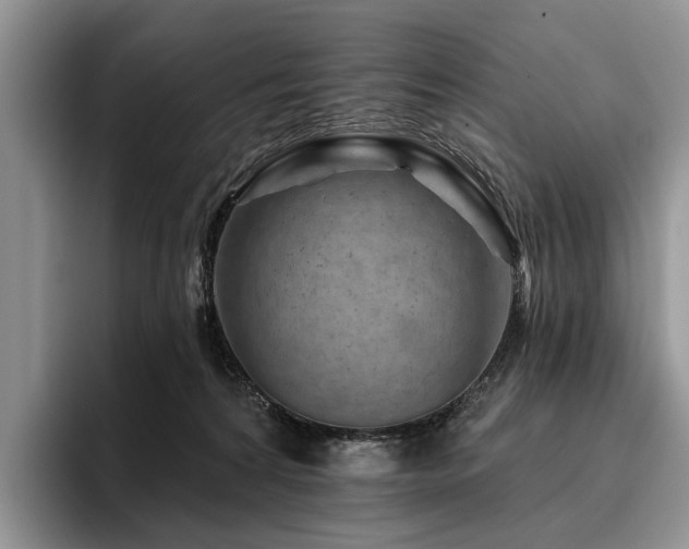 X0000096190224200801181327