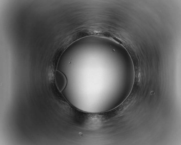 X0000096190226200801181327
