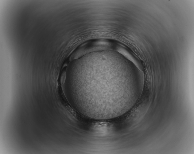 X0000096190227200801181327