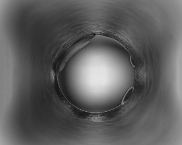 X0000096190228200801181327
