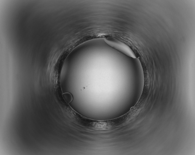 X0000096190230200801181327