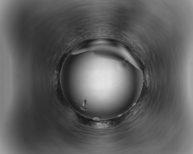 X0000096190232200801181327