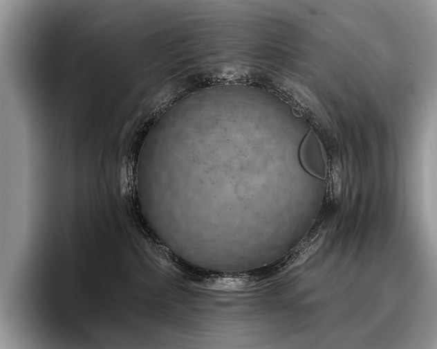 X0000096190236200801181327