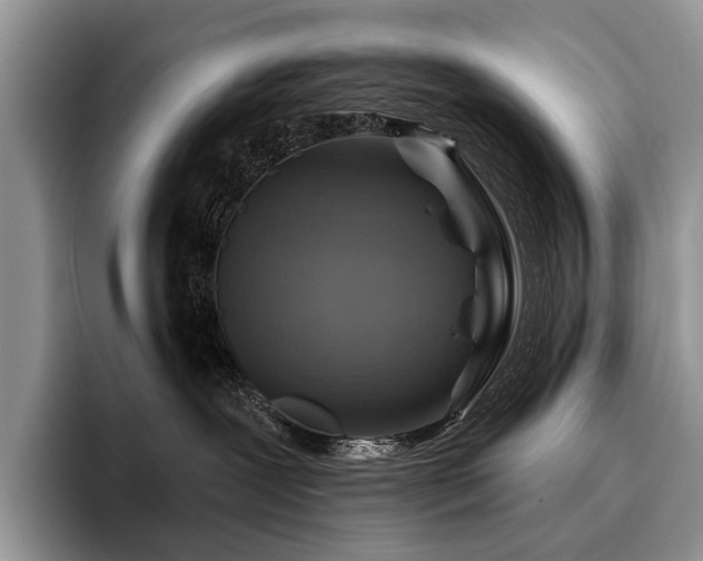 X0000096190239200801181327