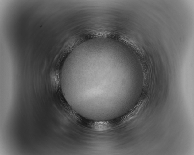 X0000096190240200801181327