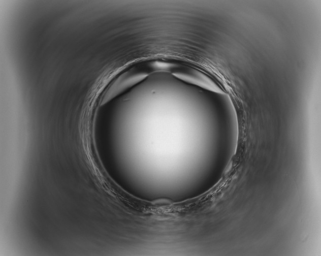 X0000096190241200801181326