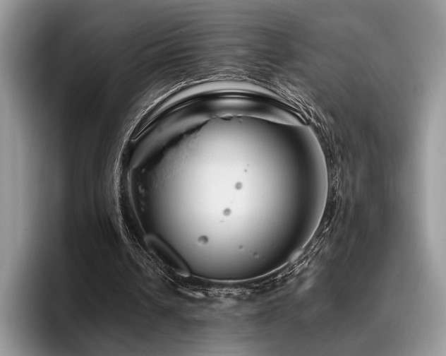 X0000096190242200801181326