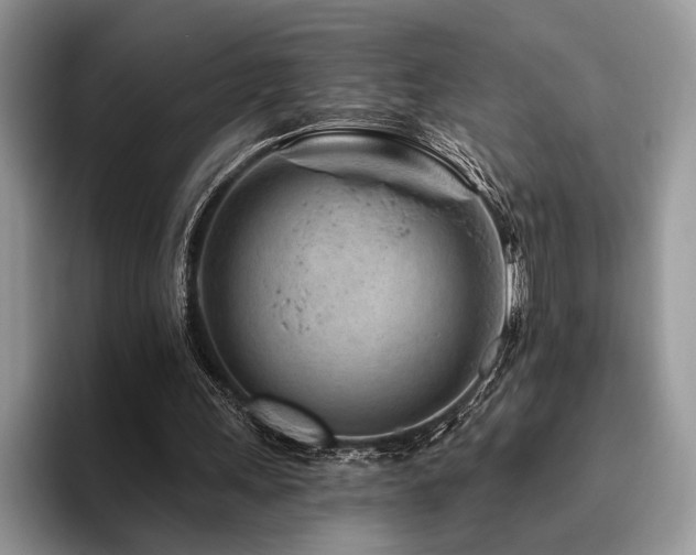 X0000096190243200801181326