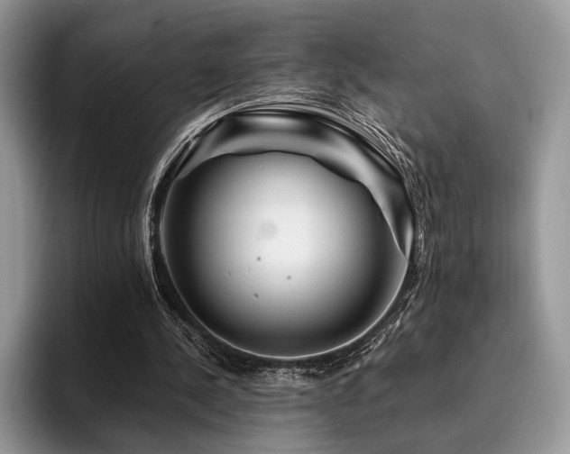 X0000096190244200801181326