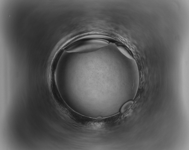 X0000096190247200801181326