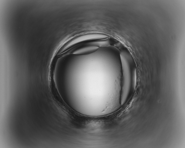 X0000096190248200801181326