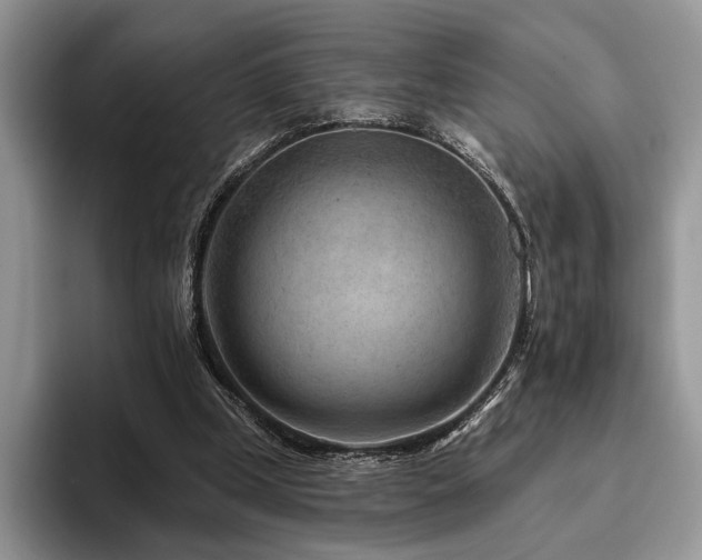 X0000096190249200801181326