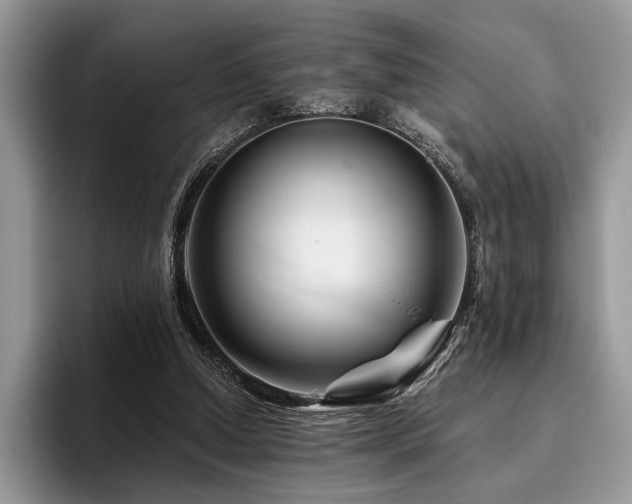X0000096190250200801181326