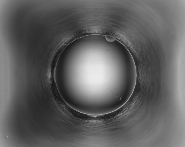 X0000096190251200801181326