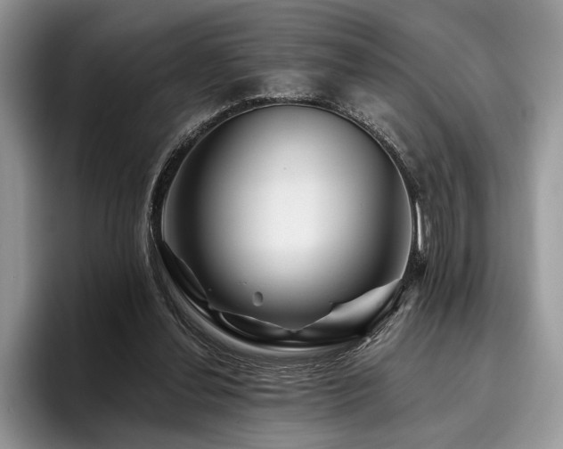X0000096190252200801181327