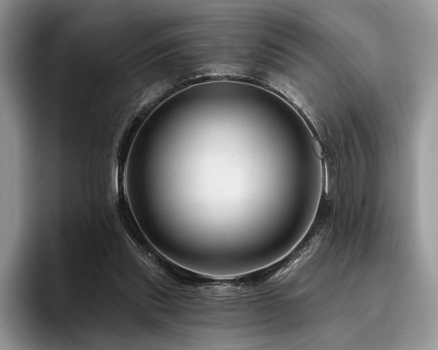 X0000096190253200801181327