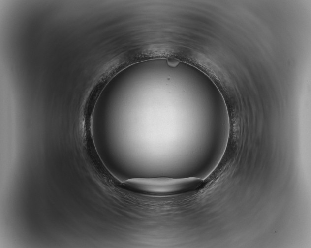 X0000096190254200801181327