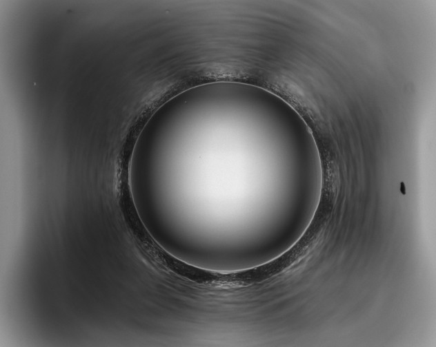 X0000096190255200801181327