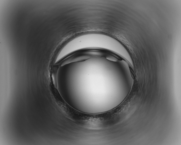 X0000096190256200801181327