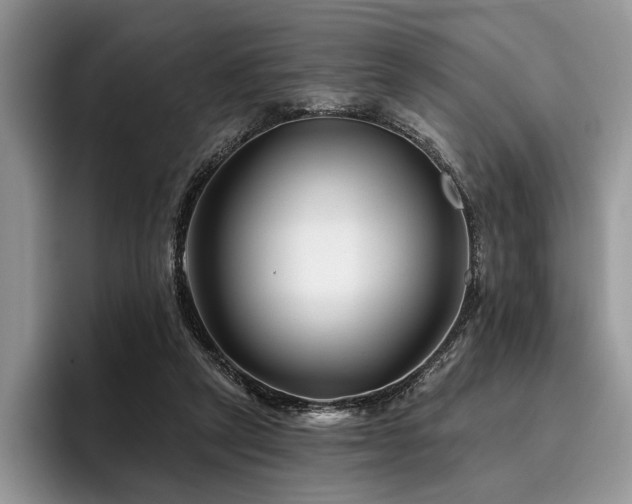 X0000096190257200801181327