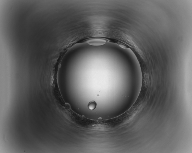 X0000096190259200801181327