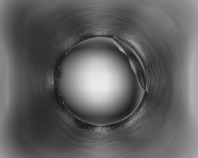 X0000096190261200801181327