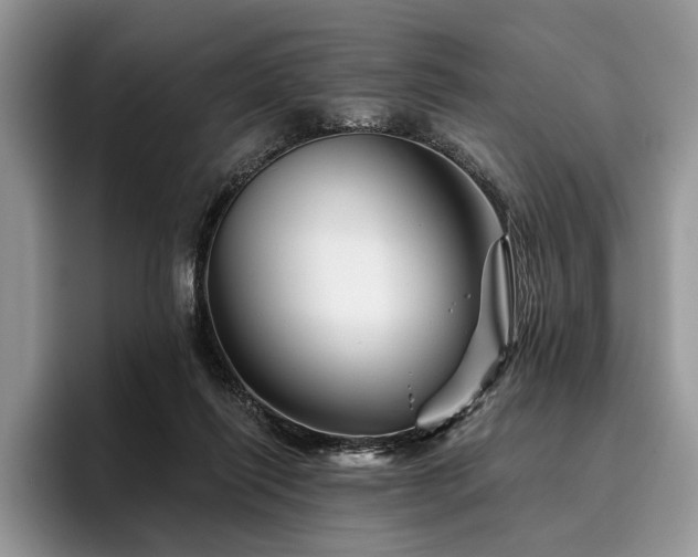 X0000096190262200801181327