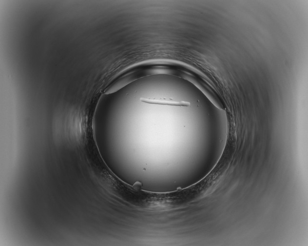 X0000096190263200801181327