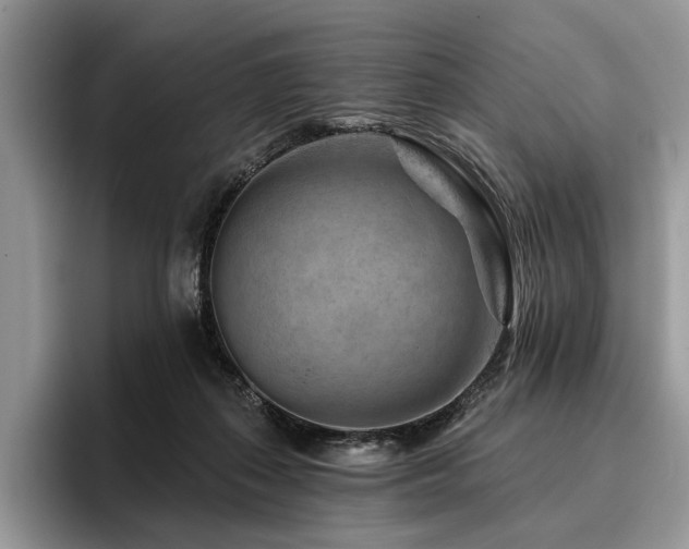 X0000096190267200801181327