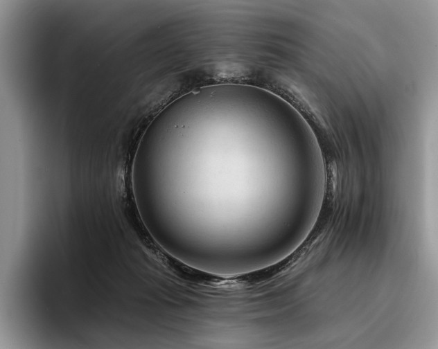 X0000096190269200801181327